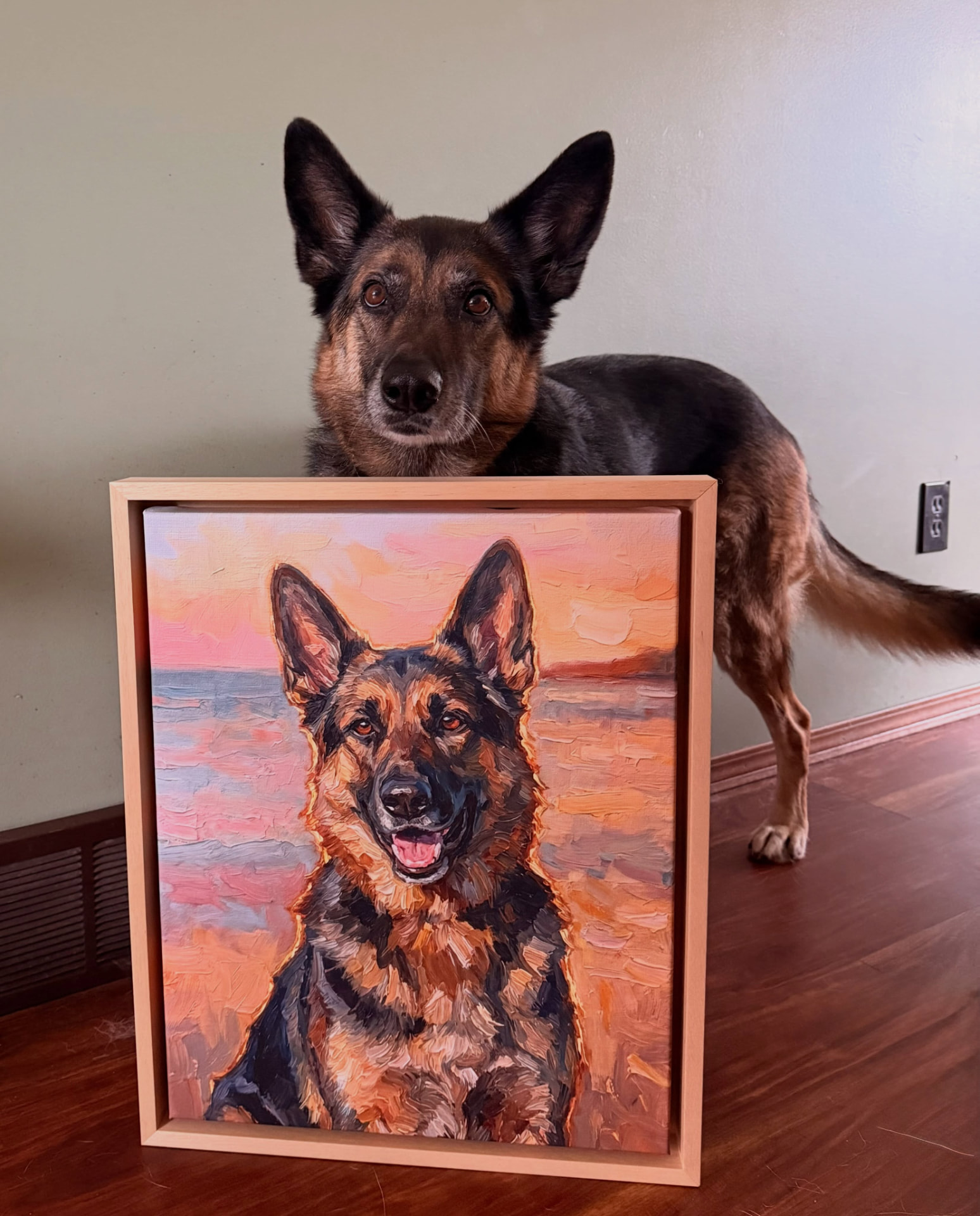 Custom Australian Shepherd portrait on framed canvas hung in a home
